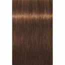 Schwarzkopf Igora Royal Absolutes 6-460 (Dark Blonde Beige Chocolate Natural)
