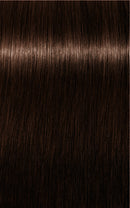 Schwarzkopf Igora Royal Absolutes 4-60 (Medium Brown Chocolate Natural)