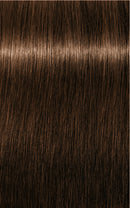 Schwarzkopf Igora Royal Absolutes 5-50 (Light Brown Gold Natural)