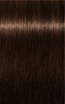 Schwarzkopf Igora Royal Absolutes 5-60 (Light Brown Chocolate Natural)
