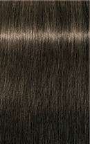 Schwarzkopf- Igora Royal 6-1 (Dark Blonde Cendre)