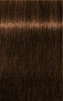 Schwarzkopf Igora Royal Absolutes 6-50 (Dark Blonde Gold Natural)