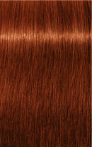 Schwarzkopf- Igora Royal 6-77 (Dark Blonde Copper Extra)