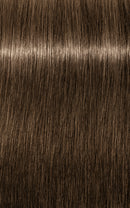 Schwarzkopf- Igora Royal 7-0 (Medium Blonde)