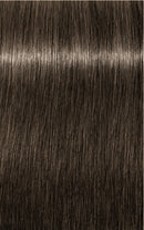 Schwarzkopf- Igora Royal 7-1 (Medium Blonde Cendre)