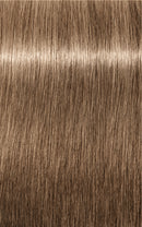 Schwarzkopf Igora Royal Absolutes 8-01 (Light Blonde Natural Cendre)