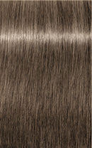 Schwarzkopf- Igora Royal 8-1 (Light Blonde Cendre)