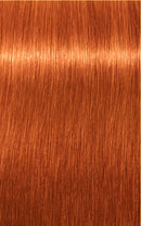 Schwarzkopf- Igora Royal 8-77 (Light Blonde Copper Extra)