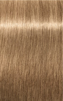 Schwarzkopf Igora Royal Absolutes 9-40 (Extra Light Blonde Beige Natural)