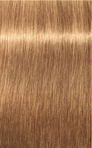 Schwarzkopf Igora Royal Absolutes 9-50 (Extra Light Blonde Gold Natural)