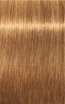 Schwarzkopf Igora Royal Absolutes 9-60 (Extra Light Blonde Chocolate Natural)