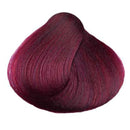 KC Perfecta 7.2 (Violet Blonde)