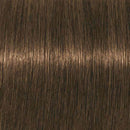 Schwarzkopf Igora Royal Absolutes 8-140 (Light Blonde Cendré Beige Natural)