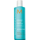 Moroccanoil Hydrating Shampoo (250mL)