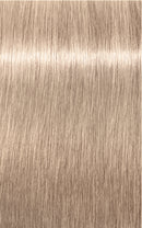 Schwarzkopf- Igora Royal Highlifts 12-19 (Special Blonde Cendre Violet)
