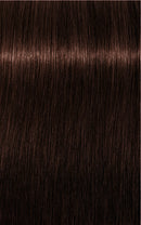 Schwarzkopf- Igora Royal 4-68 (Medium Brown Chocolate Red)