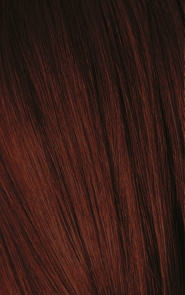 Schwarzkopf Igora Color 10 Permanent 10 Minute Color 4-88 (Medium Brown Red Extra)
