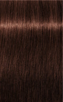 Schwarzkopf- Igora Royal 5-68 (Light Brown Chocolate Red)