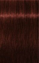Schwarzkopf Igora Royal Absolutes 5-80 (Light Brown Red Natural)