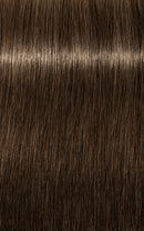 Schwarzkopf ZERO AMM (formerly Essensity) Ammonia-Free Permanent Color 6-0 (Dark Blonde Natural)