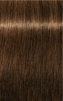 Schwarzkopf- Igora Royal 6-5 (Dark Blonde Gold)