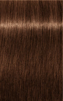 Schwarzkopf Igora Royal Absolutes 6-60 (Dark Blonde Chocolate Natural)
