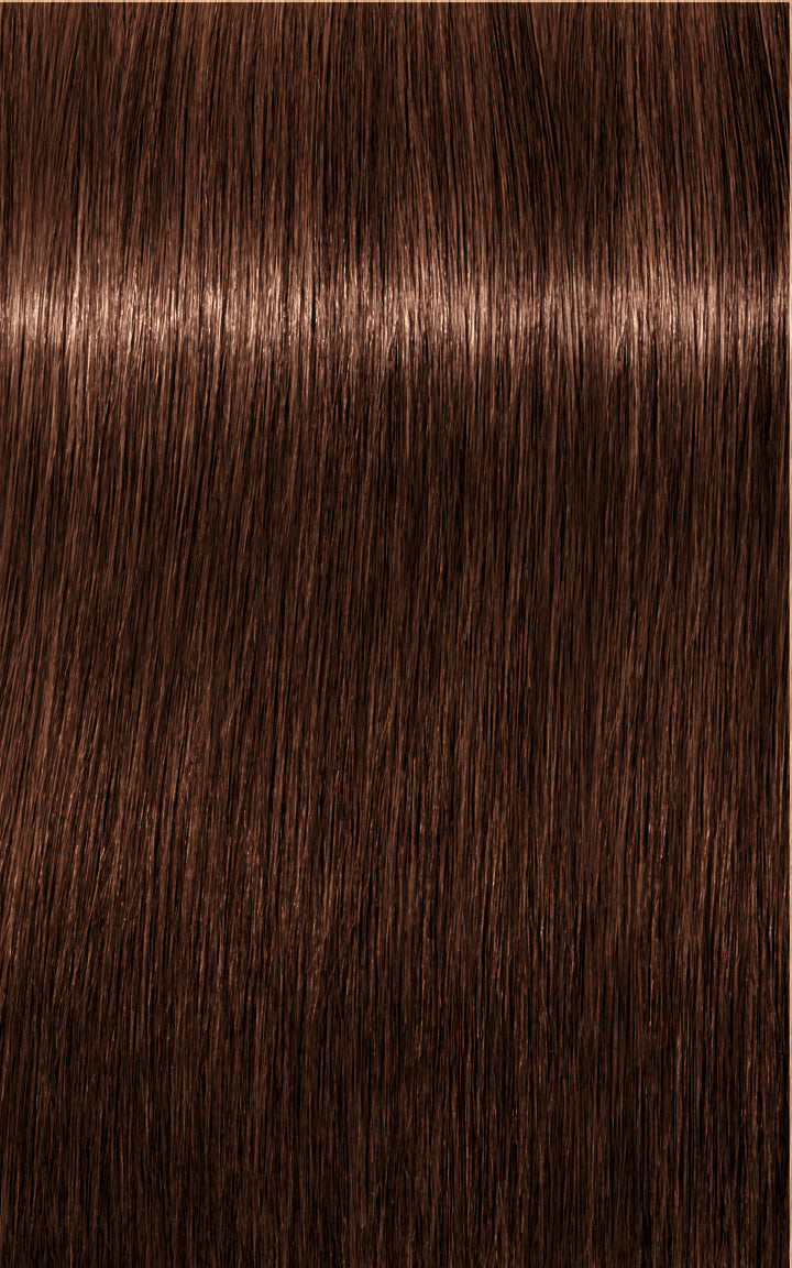 Schwarzkopf- Igora Royal 6-68 (Dark Blonde Chocolate Red)