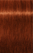 Schwarzkopf Igora Royal 6-77 Dark Blonde Copper Extra Permanent