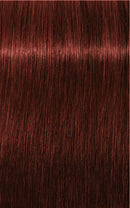Schwarzkopf Igora Royal Absolutes 6-80 (Dark Blonde Red Natural)