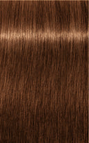 Schwarzkopf Igora Royal Absolutes 7-60 (Medium Blonde Chocolate Natural)