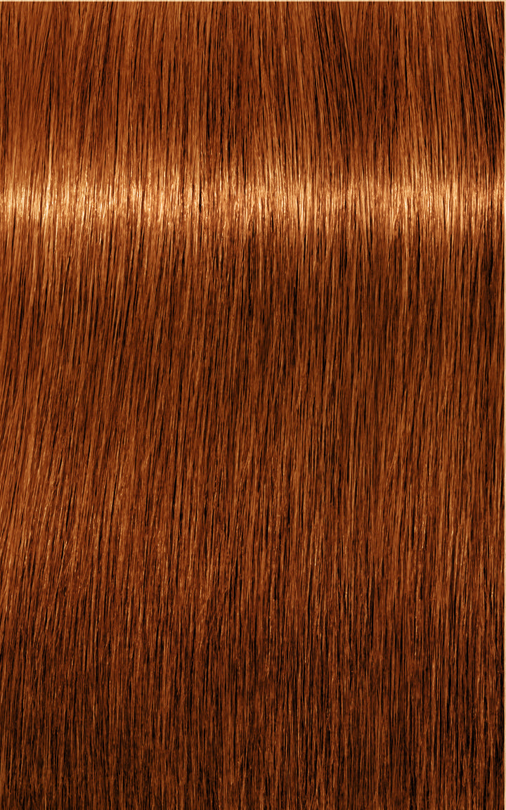 Schwarzkopf Igora Royal Absolutes 7-70 (Medium Blonde Copper Natural)