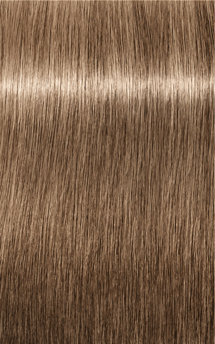 Schwarzkopf Igora Royal Absolutes 8-01 (Light Blonde Natural Cendre)