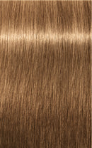 Schwarzkopf Igora Royal Absolutes 8-50 (Light Blonde Gold Natural)