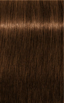 Schwarzkopf Igora Royal Absolutes 8-60 (Light Blonde Chocolate Natural)