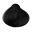 KC Perfecta 1 (Black)