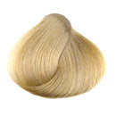 KC Perfecta 10 (Swedish Blonde)