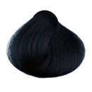 KC Perfecta 1B (Blue Black)