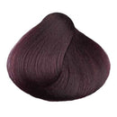 KC Perfecta 4.2 (Violet Brown)