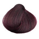 KC Perfecta4.26 (Plum)