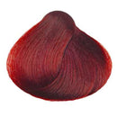 KC Perfecta 7.66 (Deep Red Blonde)