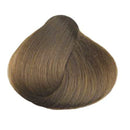 KC Perfecta 8.31 (Light Sand)