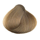 KC Perfecta 9 (Very Light Blonde)